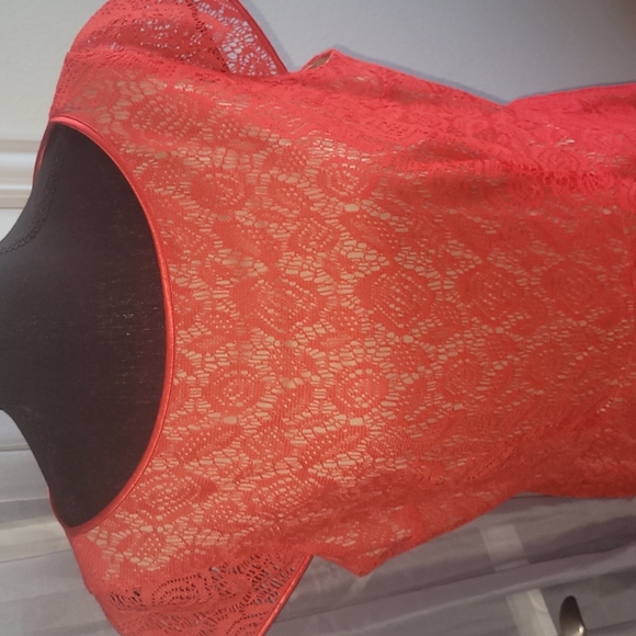 ❤️Evan Picone Women's Cap Sleeve  Lace Fit & Flare Dress - Tangerine Sz … - Picture 5 of 12